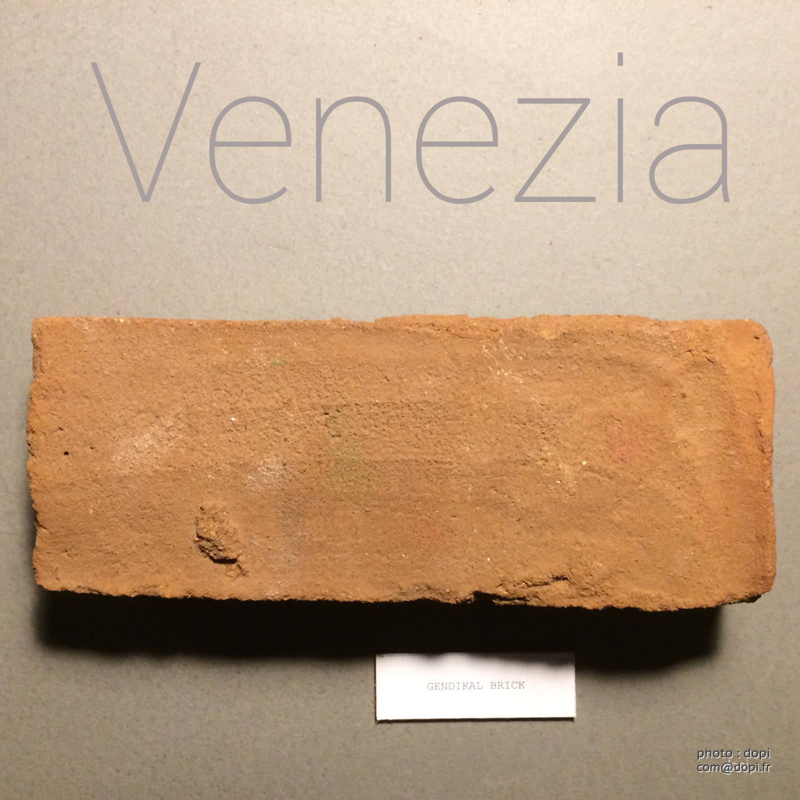 00006 IMG 7685,medium large.2x.1483813191